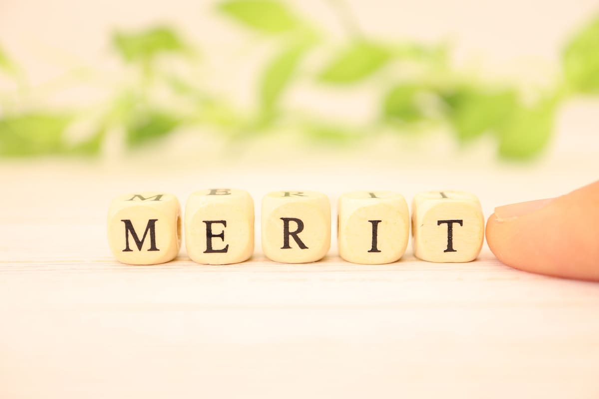 MERITの文字と指